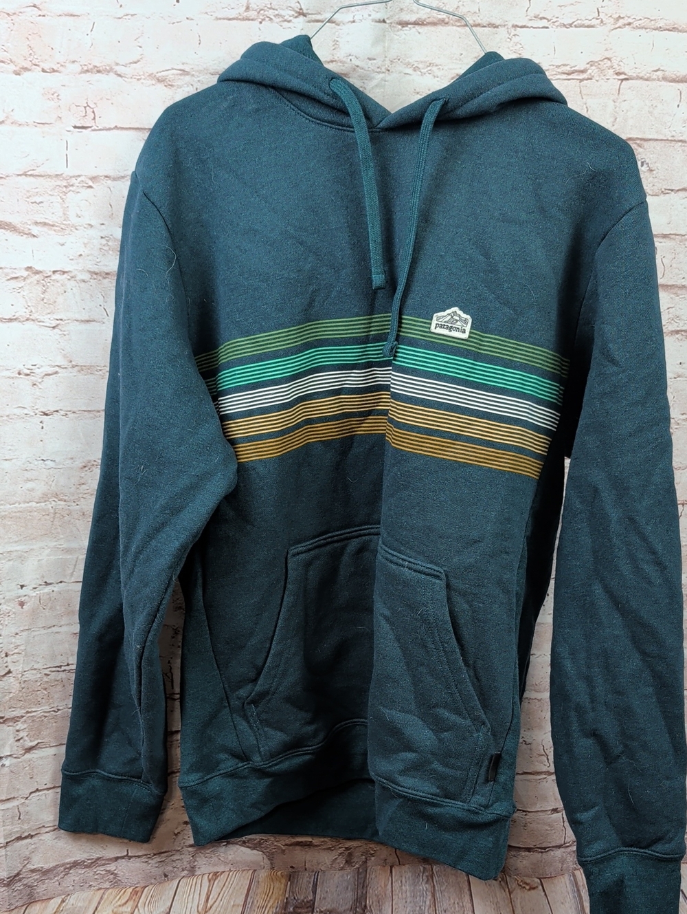 Patagonia Men's Teal Hoodie Sweatshirt Medium